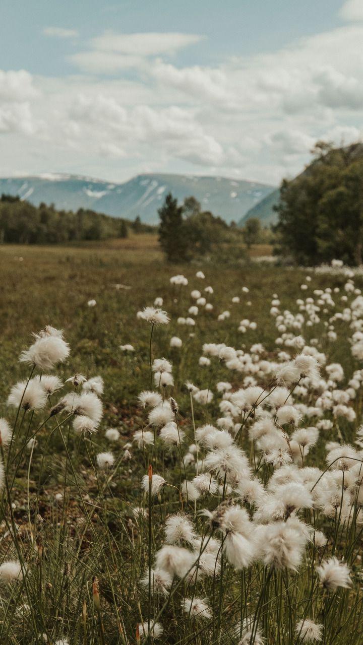 Corporate floral consultation example